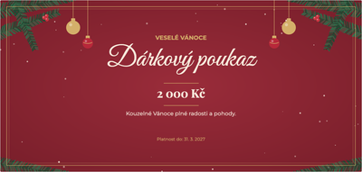 Šablona dárkového poukazu – Vánoce a zima (vánoce, klasické, baňky, jehličí)